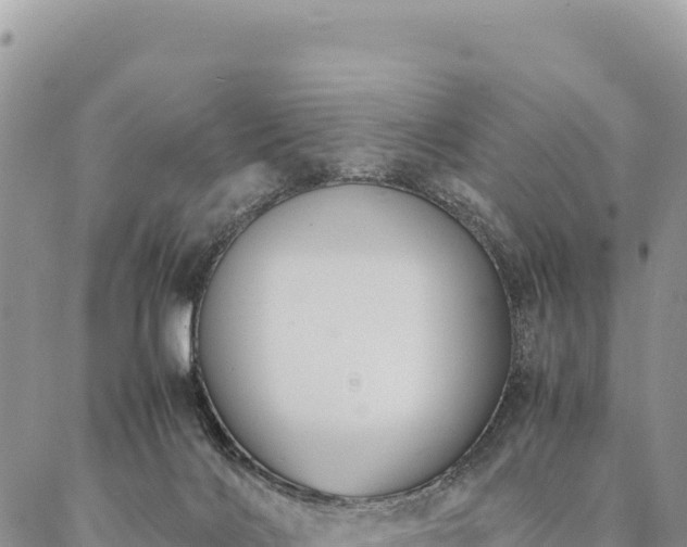 X0000087330028200704271504