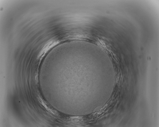 X0000087330050200704271503