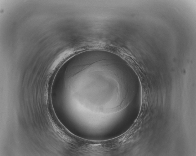 X0000087330054200704271503