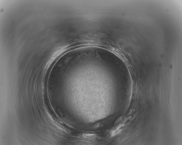 X0000087330055200704271503