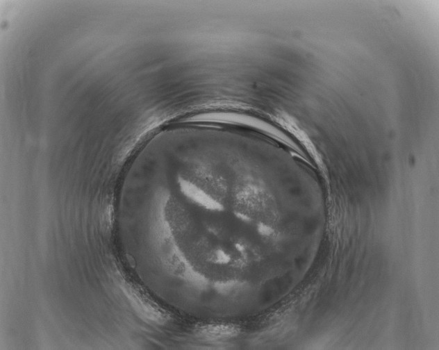 X0000087330063200704271503