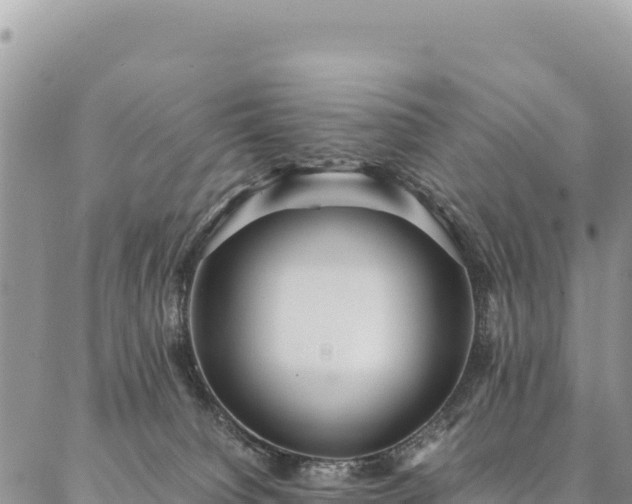 X0000087330084200704271503