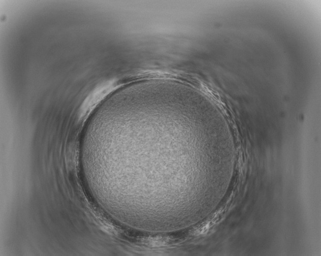 X0000087330103200704271502