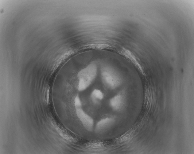 X0000087330110200704271502