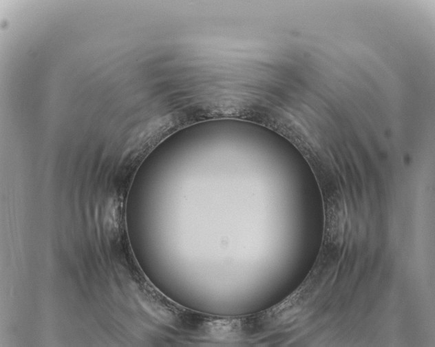 X0000087330126200704271502