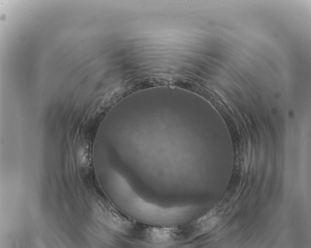 X0000087330134200704271502