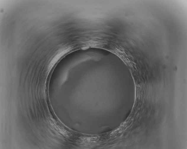 X0000087330147200704271501