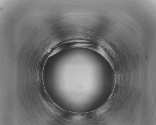 X0000087330158200704271501