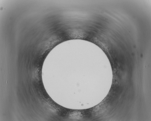 X0000087330162200704271501