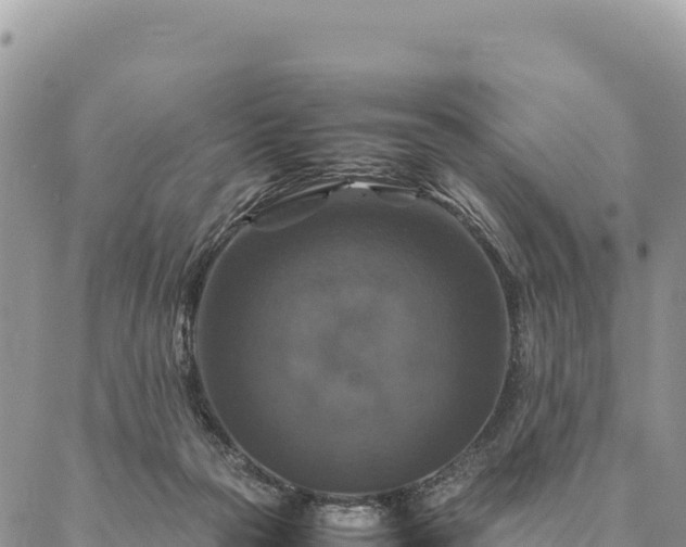 X0000087330169200704271501