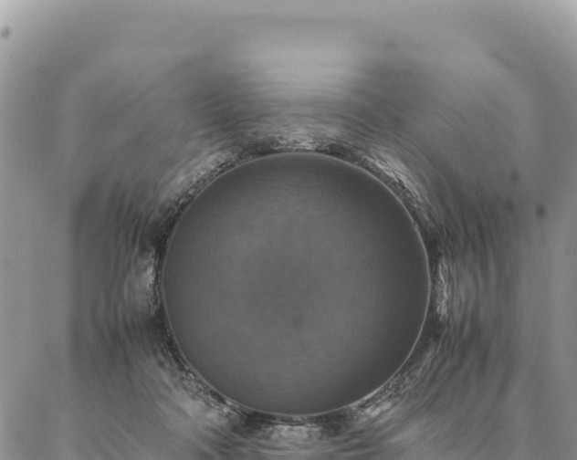 X0000087330314200704271459