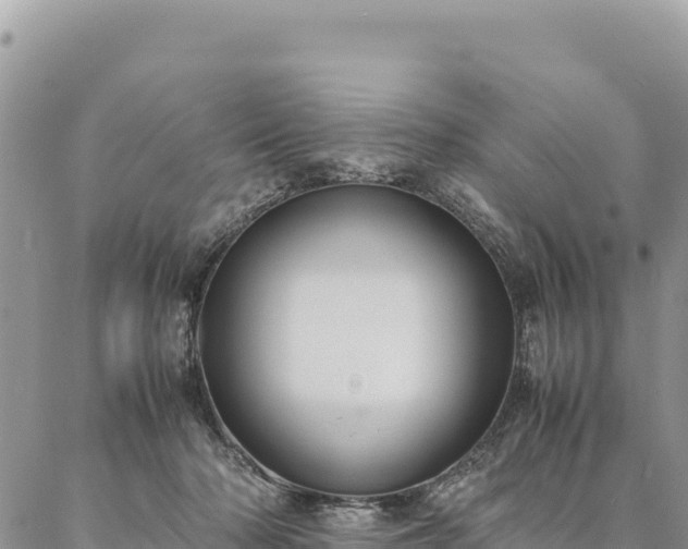 X0000087330318200704271459