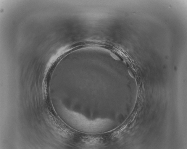 X0000087330343200704271458
