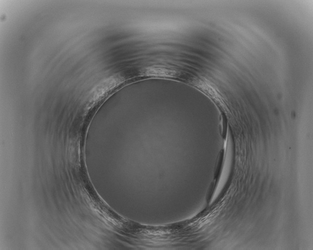 X0000087330349200704271458