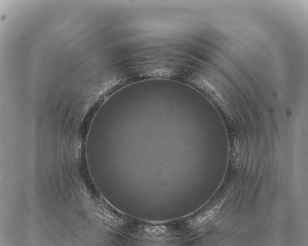 X0000087330355200704271458