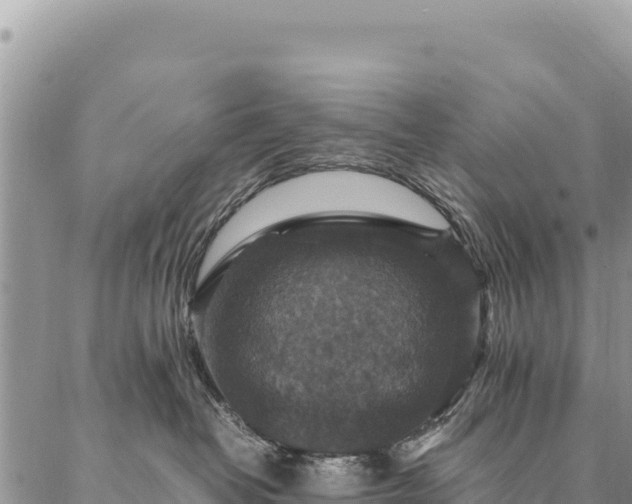 X0000087330382200704271459