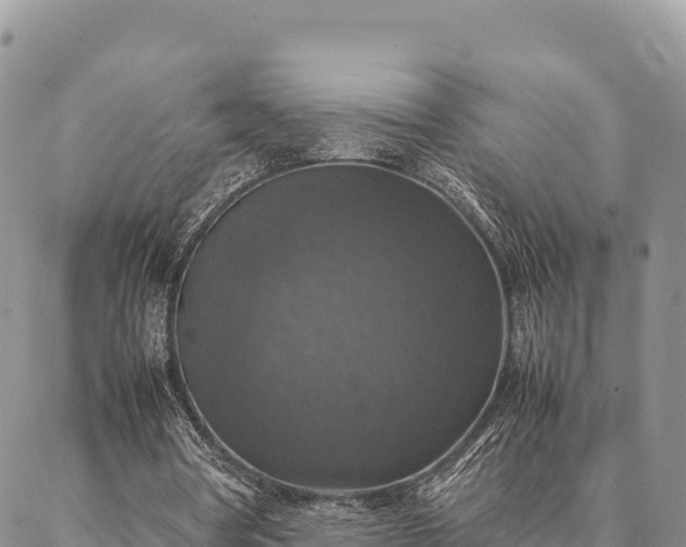 X0000087330386200704271458