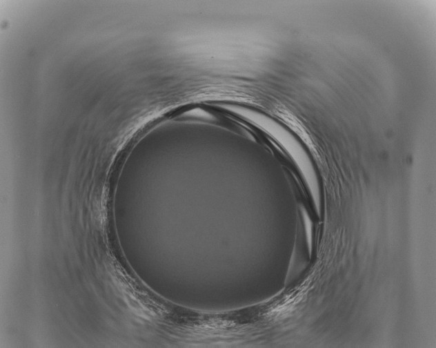 X0000087330387200704271458