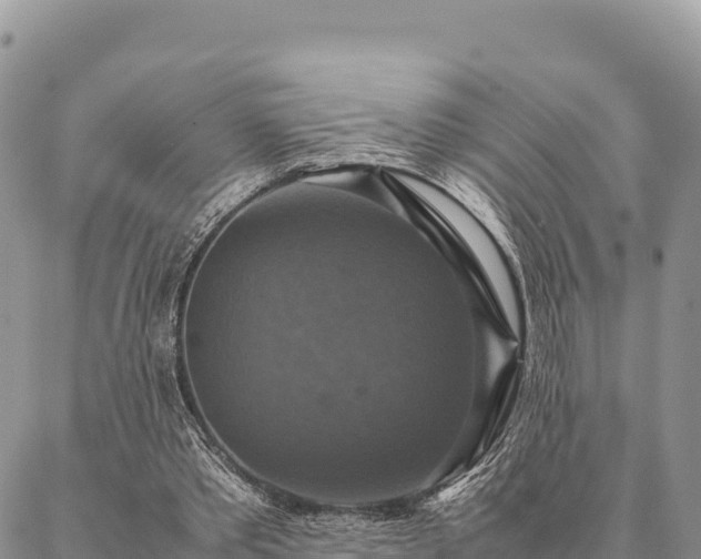 X0000087330389200704271458