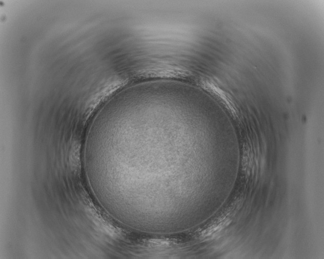 X0000087330394200704271458