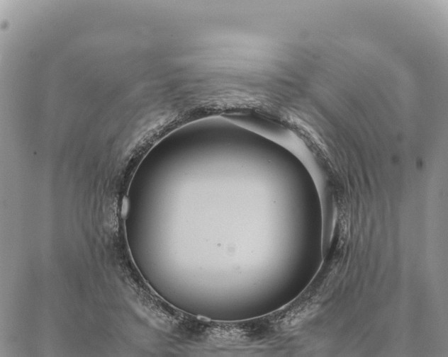 X0000087330403200704271457