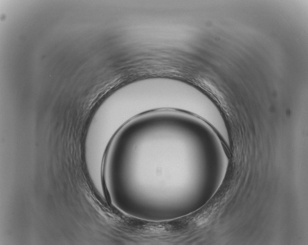 X0000087330405200704271457