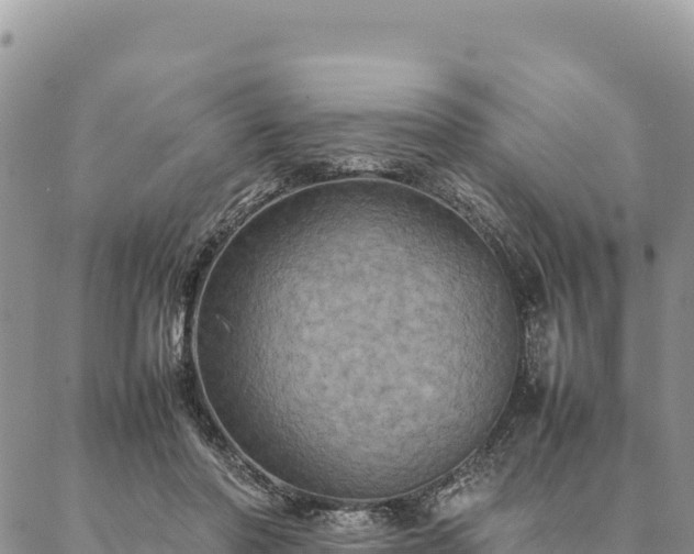 X0000087330406200704271457
