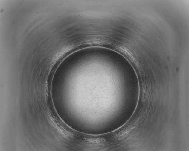 X0000087330439200704271456