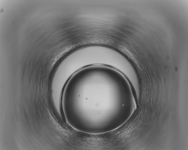 X0000087330444200704271456