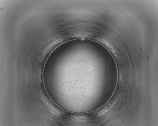 X0000087330445200704271456