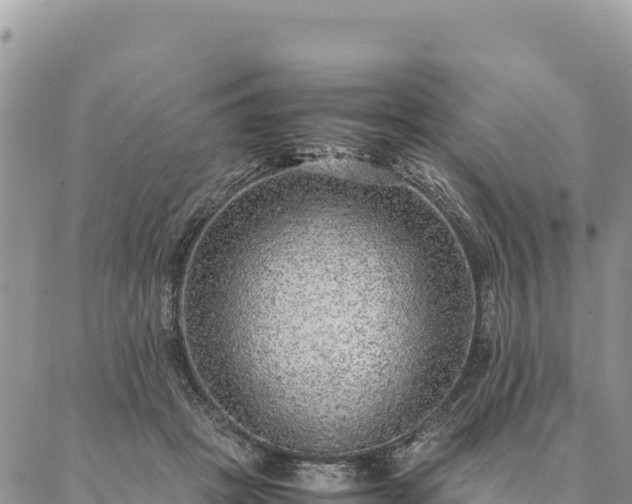 X0000087330457200704271457