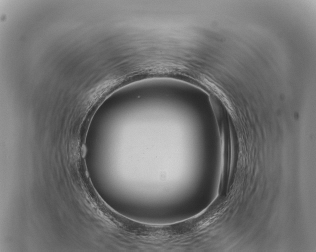 X0000087330485200704271456