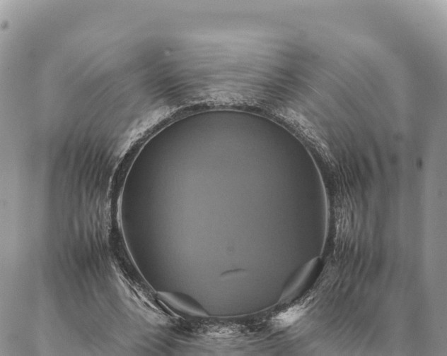 X0000087330488200704271456