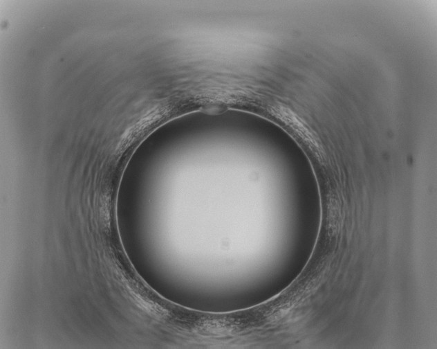 X0000087330489200704271456