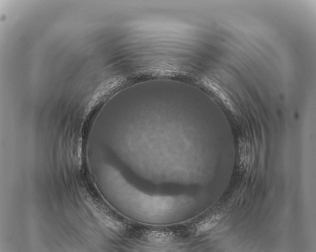 X0000087330494200704271456
