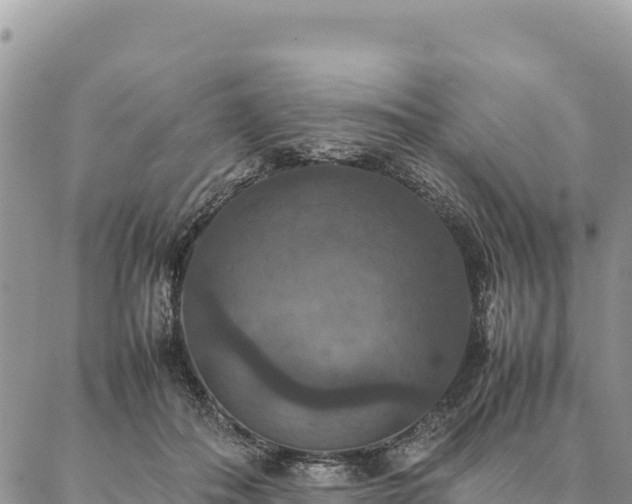 X0000087330506200704271456