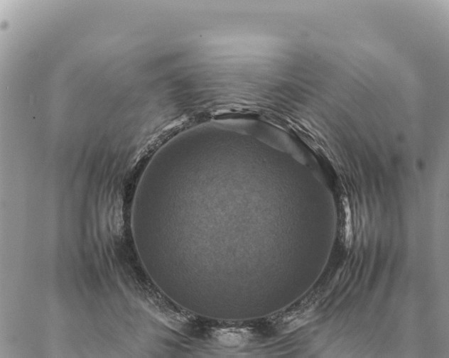 X0000087330508200704271456