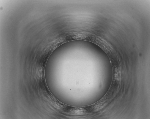 X0000087330514200704271456
