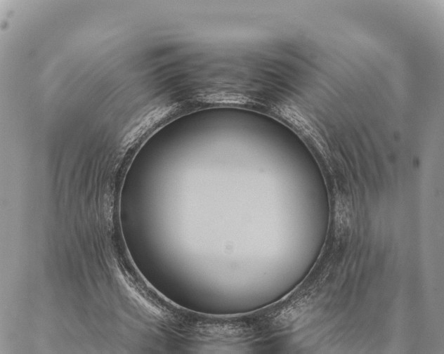 X0000087330533200704271455