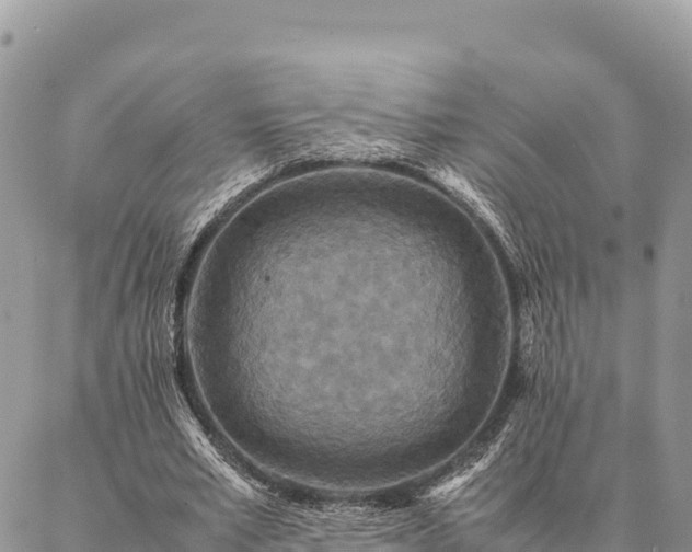 X0000087330581200704271455