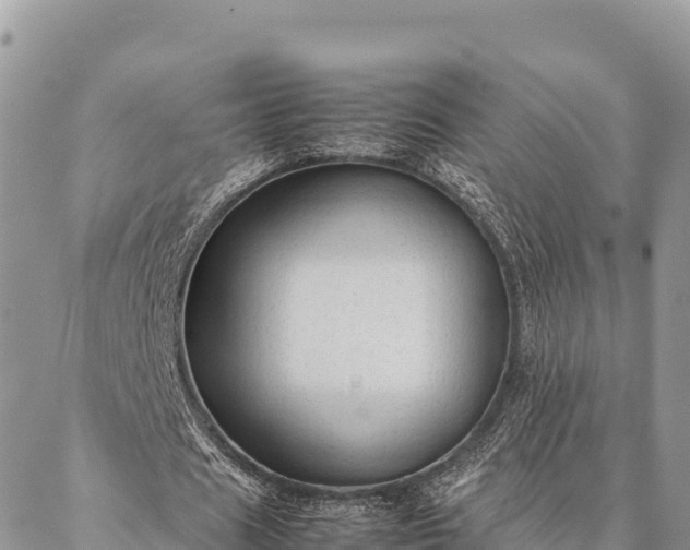 X0000087330625200704271453