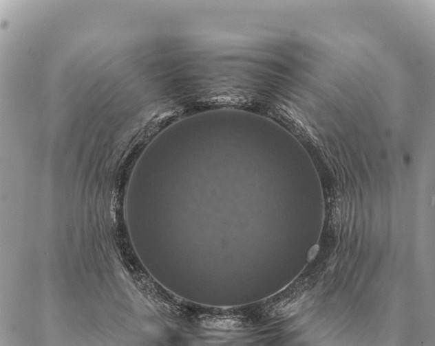 X0000087330643200704271453