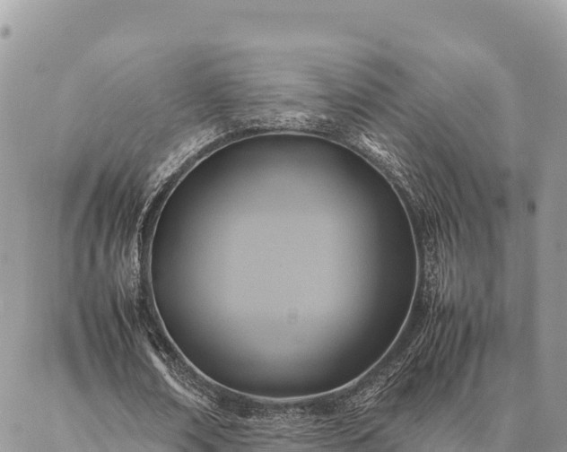 X0000087330674200704271453