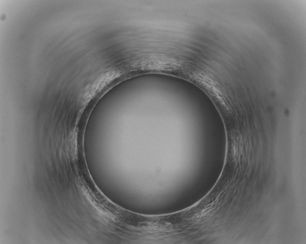 X0000087330678200704271453