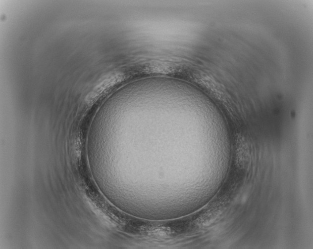 X0000087330683200704271453