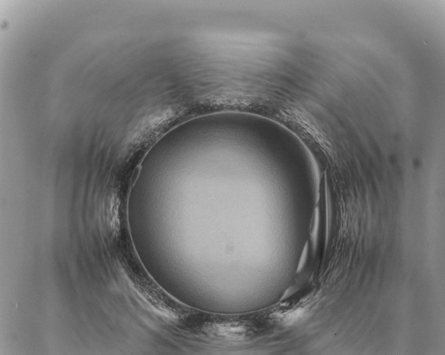 X0000087330692200704271453