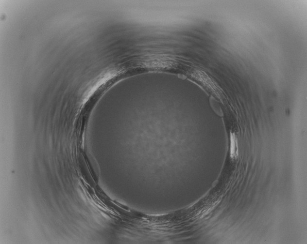 X0000087330723200704271452