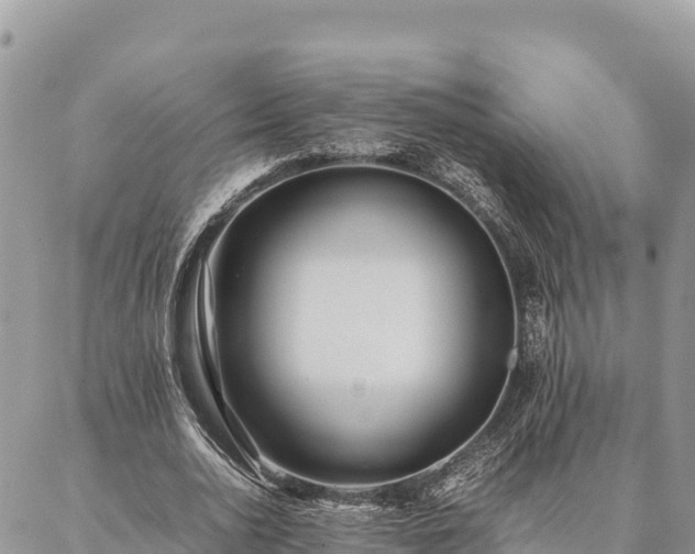 X0000087330726200704271452