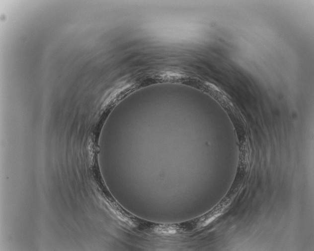 X0000087330762200704271452