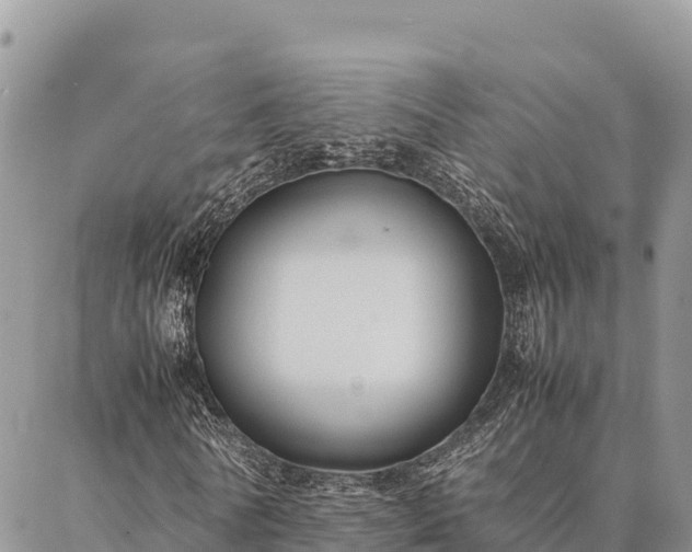 X0000087330770200704271452